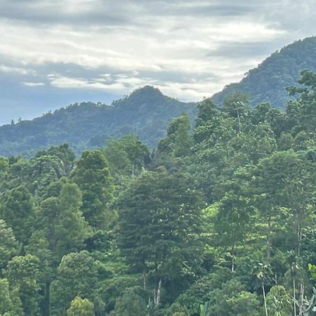 Villa Kubu Gitgit エクステリア 写真